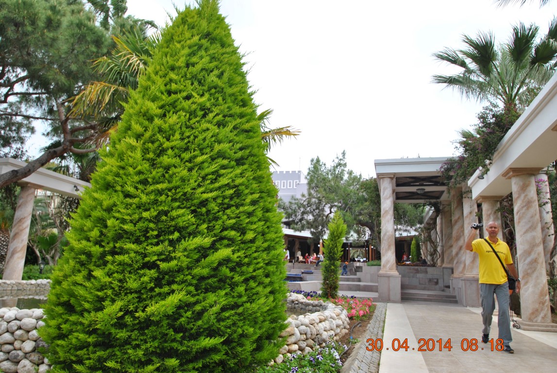 imagini hotel CLUB ASTERIA BELEK